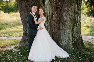 Fototapeta premium Attractive wedding couple hugging next to an old tree in the countryside.