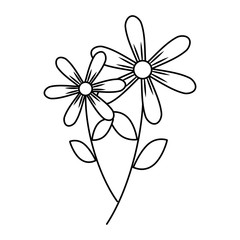 two flowers decorative spring image vector illustration outline design