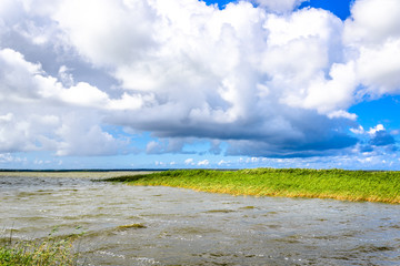 View of lake, panoramic vista on water and grass, green spring landscape in good weather