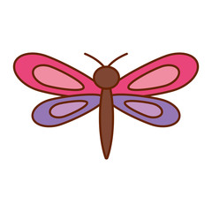  and purple dragonfly insect spring season vector illustration
