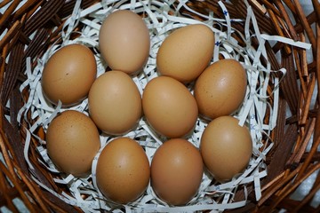 eggs in basket. eggs in nest