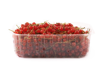 Plastic box of red currant isolated
