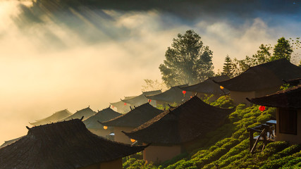 Fototapeta na wymiar Ban Rak Thai, a Chinese settlement in tea field with fog in the morning, Mae Hong Son, Thailand
