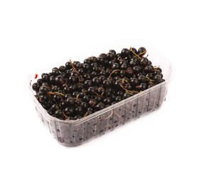 Box full of black currant isolated