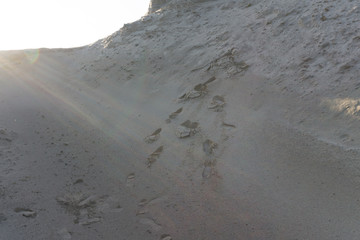 Human footprints on a sandy background prints .