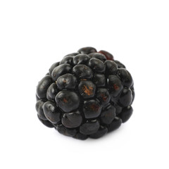 Single blackberry fruit isolated