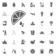 Lemon icon. Spa and Recreation vector set icons. Set of 33 spa icons.