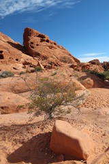 Valley of Fire