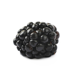 Single blackberry fruit isolated