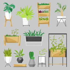 Fototapeta na wymiar Plants in flowerpots vector potted houseplants indoor botanic cactuses aloe for house decoration with floral collection of botanical garden illustration isolated on white background