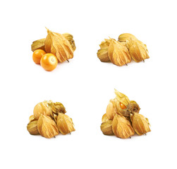 Composition of couple physalis fruits