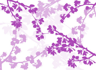 Fototapeta na wymiar pink spring background from blossoming cherry tree branches