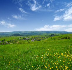 Mountain landscape summer
