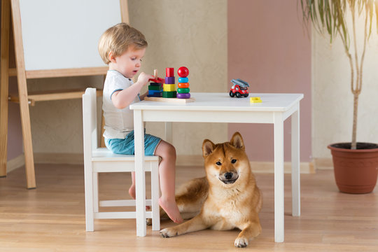Little child girl and small cute dog in the living room