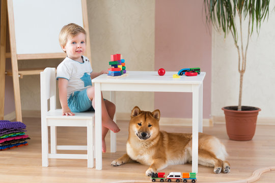 Little child girl and small cute dog in the living room