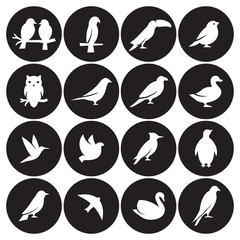 Birds icon set © nicknik93759375