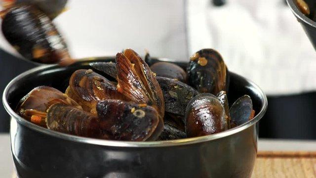 Cooked mussels close up. Steamed clams in white wine.