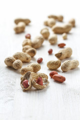 Handful of peanuts in shell on a white table