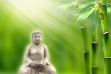 buddha in bamboo garden
