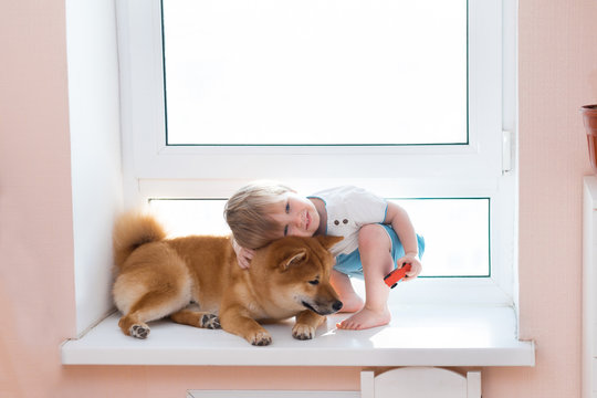 Cute Little Kid Boy With Best Friend Shiba Inu Dog Looking Through Window Together