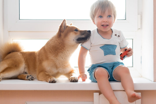 Little cute girl with boxer dog sitting on windowsill at home