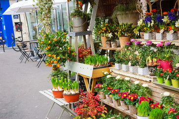 Blumenladen im Freien auf der Pariser Straße. Cafétische und Fahrrad im Hintergrund. Paris, Frankreich). Sepia.