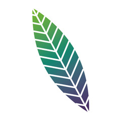 green leaf nature foliage botanical vector illustration