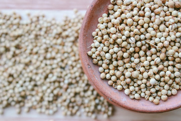 Organic Dried coriander seeds. Coriander seeds background.
