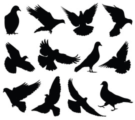 Flying dove vector silhouettes isolated. Pigeons set love and peace symbols