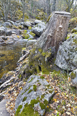 Rio Iruelas. Avila