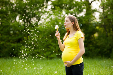 Fototapeta premium young pregnant woman blowing dandelion seeds on a meadow