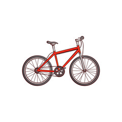 Vector flat sketch detailed modern bicycle, red mountain bike. Sport equipment object. graphic design or web design element. Isolated illustration on a white background