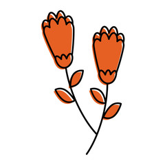 two flowers decorative spring image vector illustration