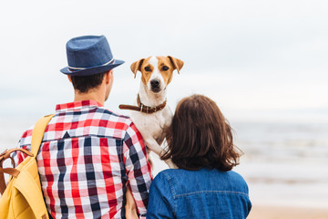 Outdoor shot of brunette female, male and their favourite dog have walk across sea shore together, stand backs, enjoy beautiful landscapes and togetherness. People, leisure and relationship concept