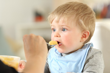 Mother feeding a baby