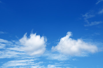 Blue sky with cloud