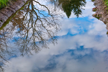 Reflection of trees in the water. Sky and forest reflected in the lake or river.