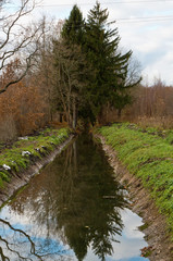 Reflection of trees in the water. Sky and forest reflected in the lake or river.