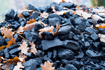 Black coal. Yellow leaves fallen from the trees on a pile of coal.