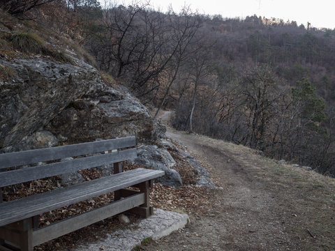 bosco della citt&agrave;