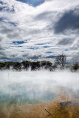 Hot springs lake in Rotorua, New Zealand