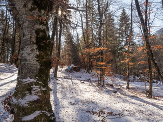lago di dei ghiacciato