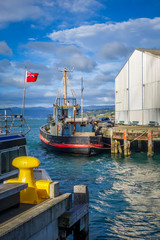 Wellington harbour docks, New Zealand © daboost