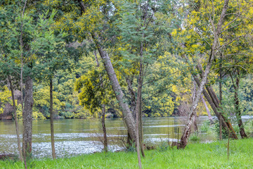 Penacova, Coimbra, Portugal