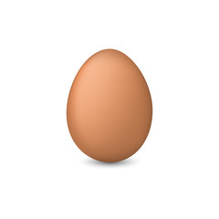 Chicken egg. Realistic vector illustration on a white background.
