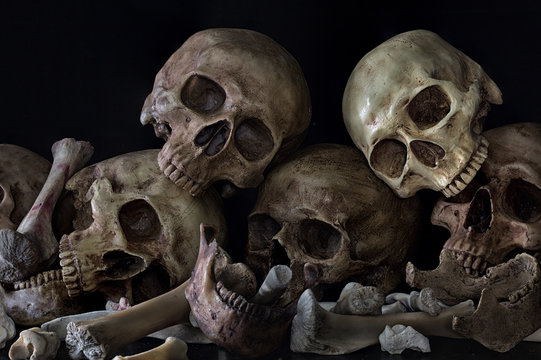 Pile of skulls and bones on black background