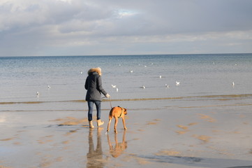 Strand Otsee Spaziergang mit Hund Gassi