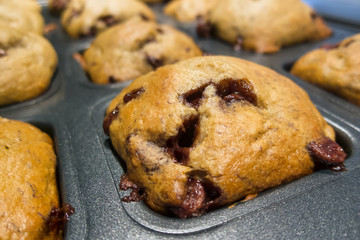Chocolate Chip Muffins