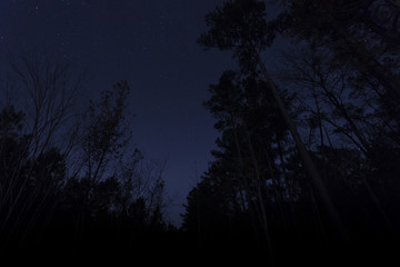 Fototapeta premium North Carolina night sky