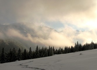 Tatra Mountains from the Rusinowa Glade, Poland